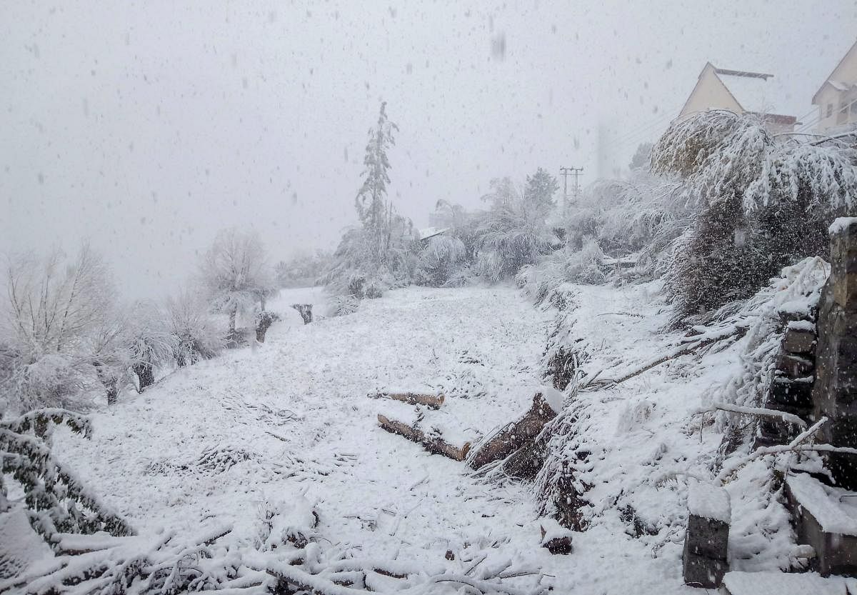 A view of the village as fresh snowfall covers the city of Kyelang.(PTI photo)