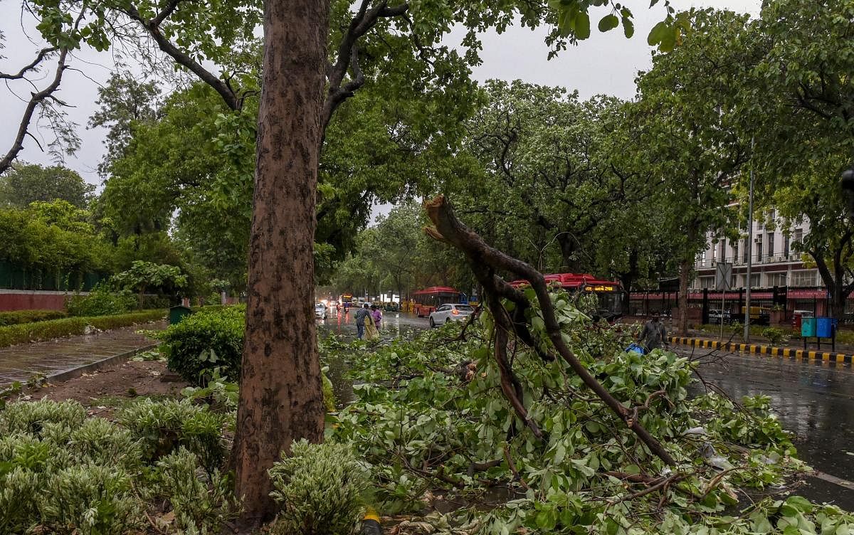 A tree fall on a road in a thunderstorm, in New Delhi on Saturday, June 09, 2018. The dust storm followed by rains and thunderstorm brought much needed respite to the capital city which was under the spell of hot and humid weather. PTI Photo
