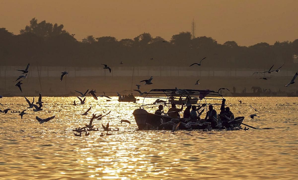 Allahabad: Birds frequenting the River Ganga as a boat carrying devotees ferries across, on a picturesque morning, at Sangam, in Allahabad, Saturday, Nov.24, 2018. (PTI Photo)