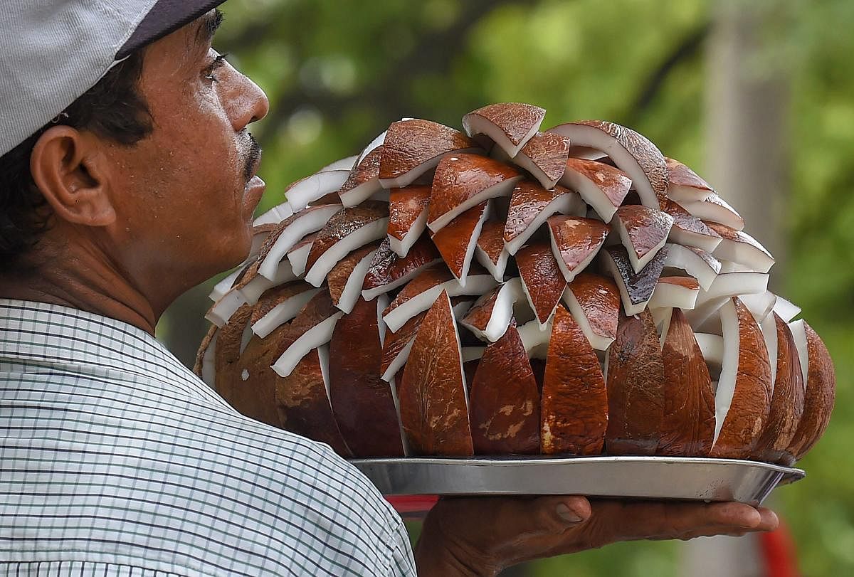A street vendor selling coconut slices looks for customers, at Jantar Mantar in New Delhi on Friday. PTI Photo