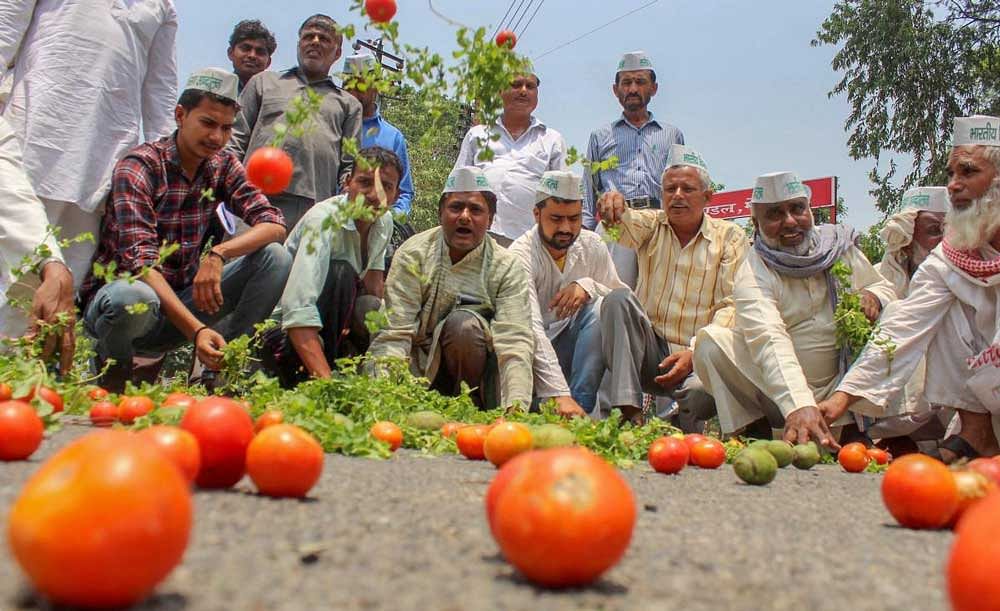 Bharatiya Kisan Andolan activists along with the farmers throw tomatoes on a road during a protest various issues of the farmers including their loan waiver, in Meerut on Sunday, June 03, 2018. PTI Photo