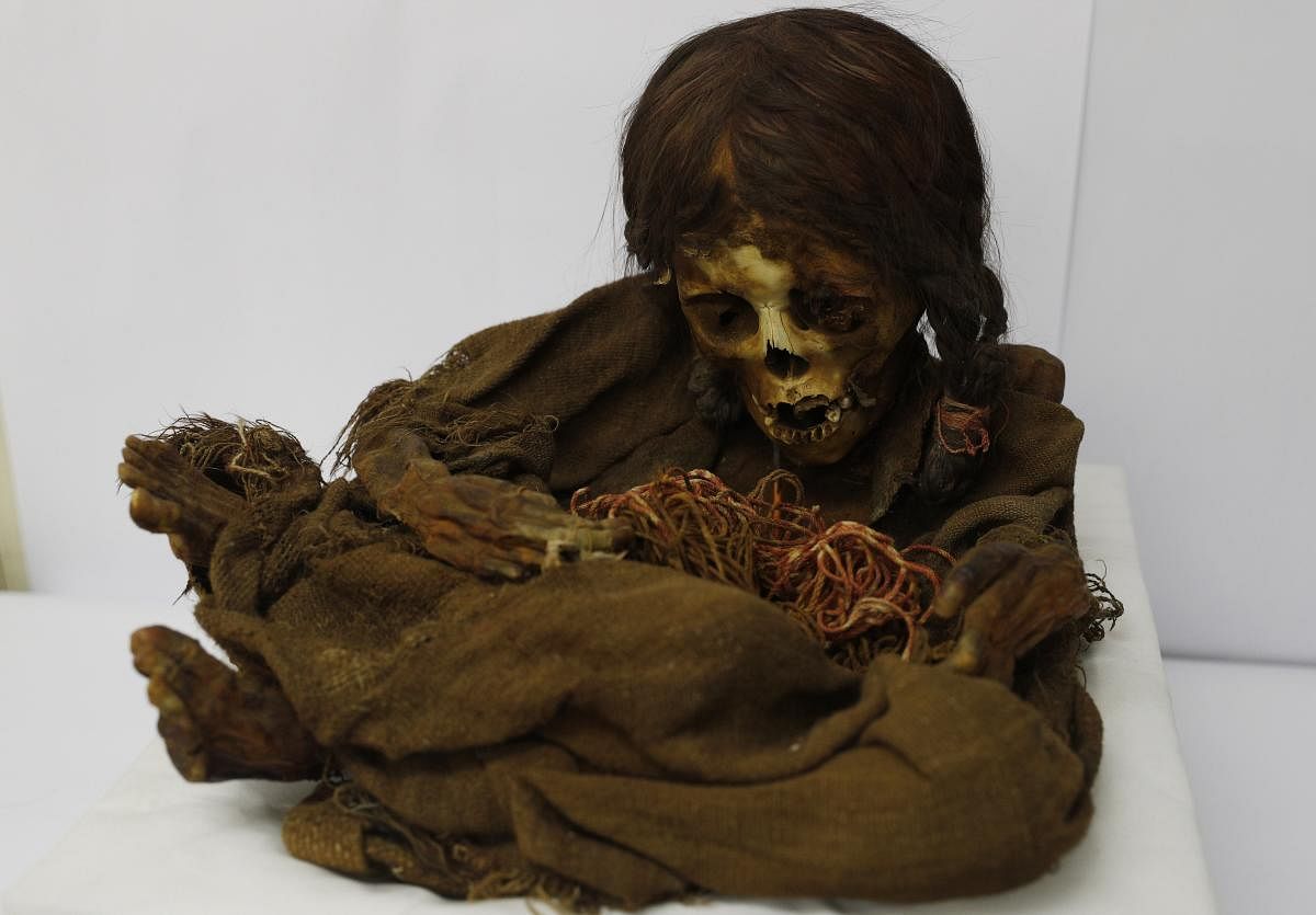 The 500-year-old mummy of an Incan girl sits inside a vault at the National Museum of Anthropology in La Paz, Bolivia. Nicknamed Nusta, a Quechua word for ‚Äú Princess, she was recently returned to its native Bolivia 129 years. (Photo: AP/PTI)