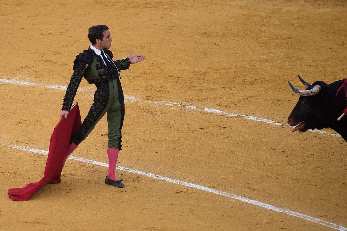 Spanish matador Juan Ortega gestures opposite a bull during a bullfight at the Malagueta bullring in Malaga on August 20, 2019. (Photo by AFP)