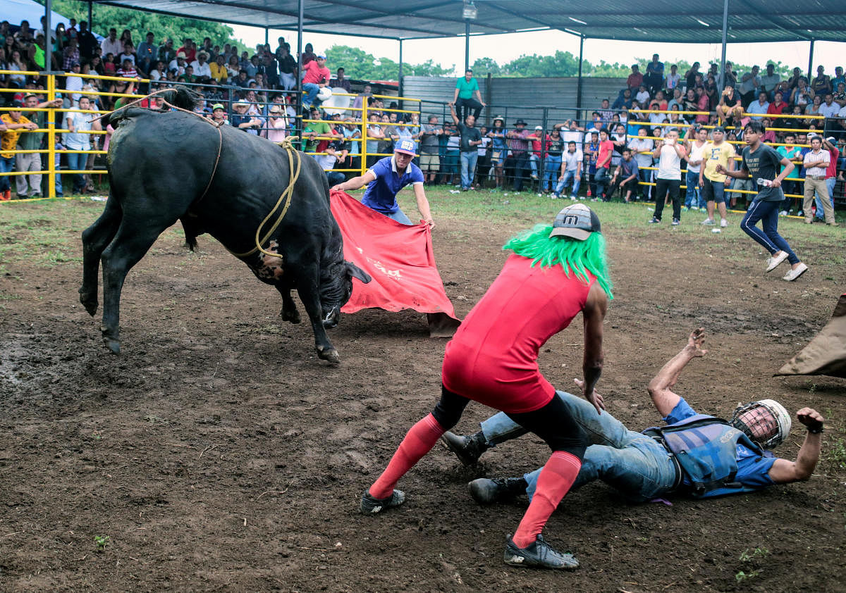 A bullfighter is tossed by a bull during a bull riding event in honour of the capital's patron saint Santo Domingo de Guzman in Managua, Nicaragua July 29, 2018.REUTERS/Oswaldo Rivas