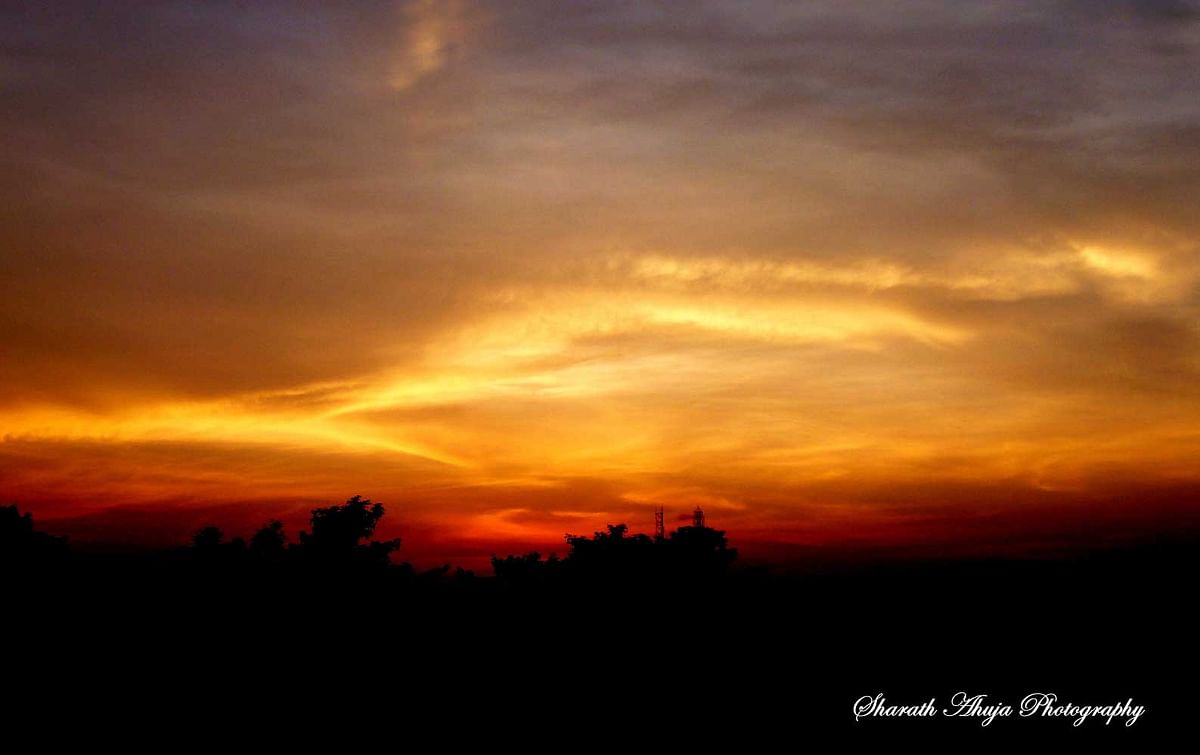 Sunset at GKVK Campus, Bengaluru. Clicked by Sharath Ahuja