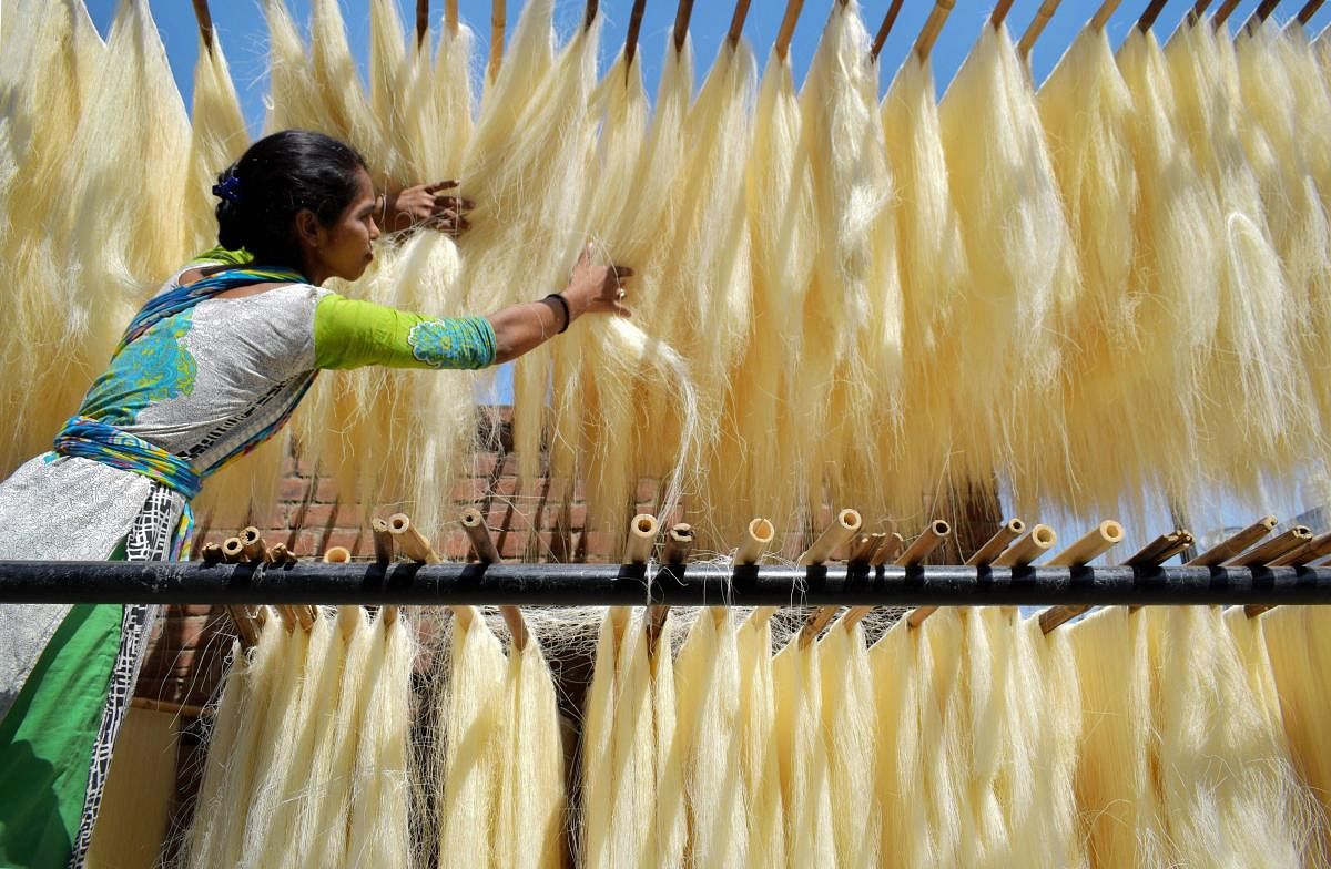 A woman worker stacks vermicelli before packing at a factory during the month of Ramadan, in Prayagraj (Allahabad). PTI Photo