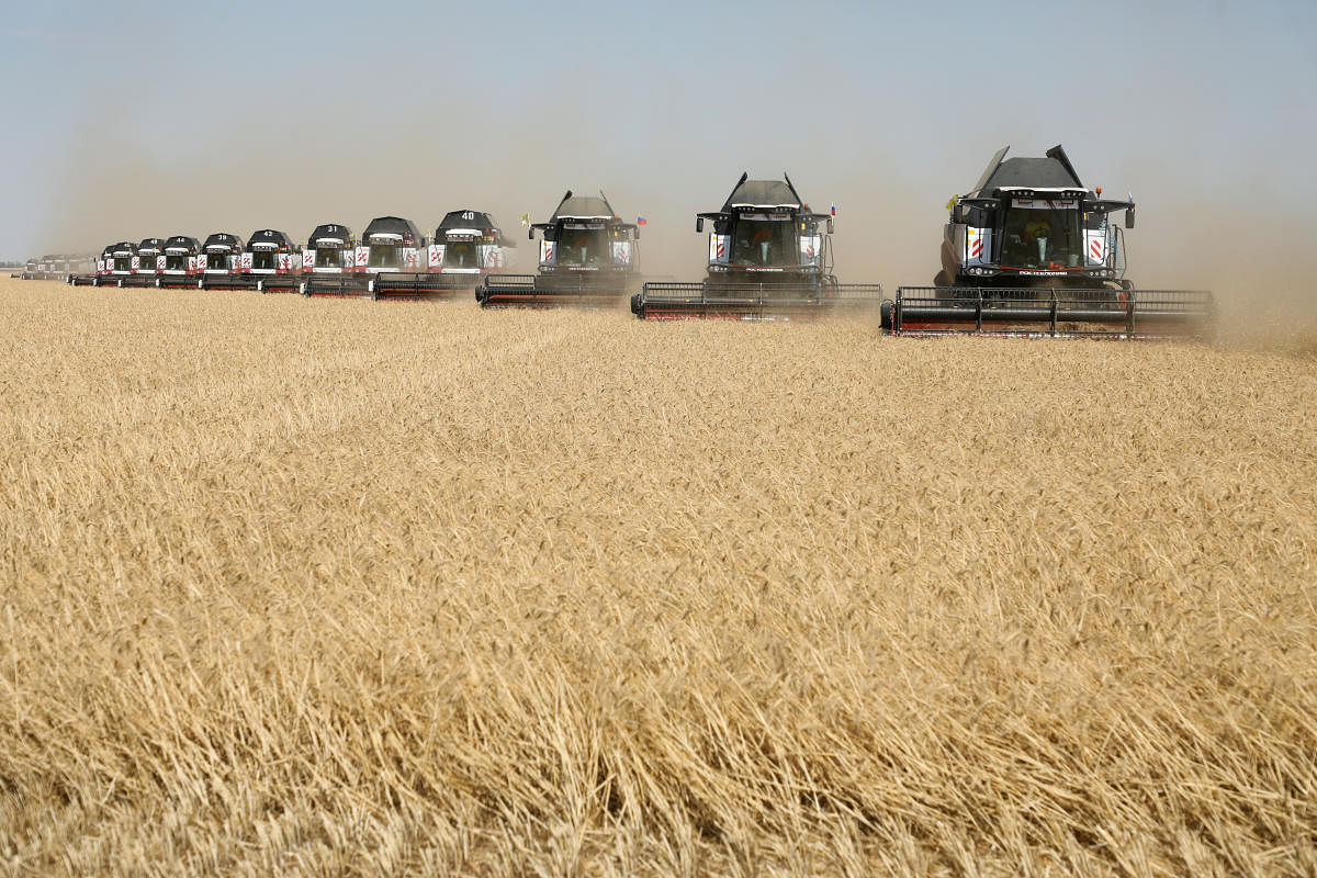 Combines harvest wheat in a field outside the settlement of Terskiy in Stavropol region, Russia July 7, 2020. Credit: Reuters