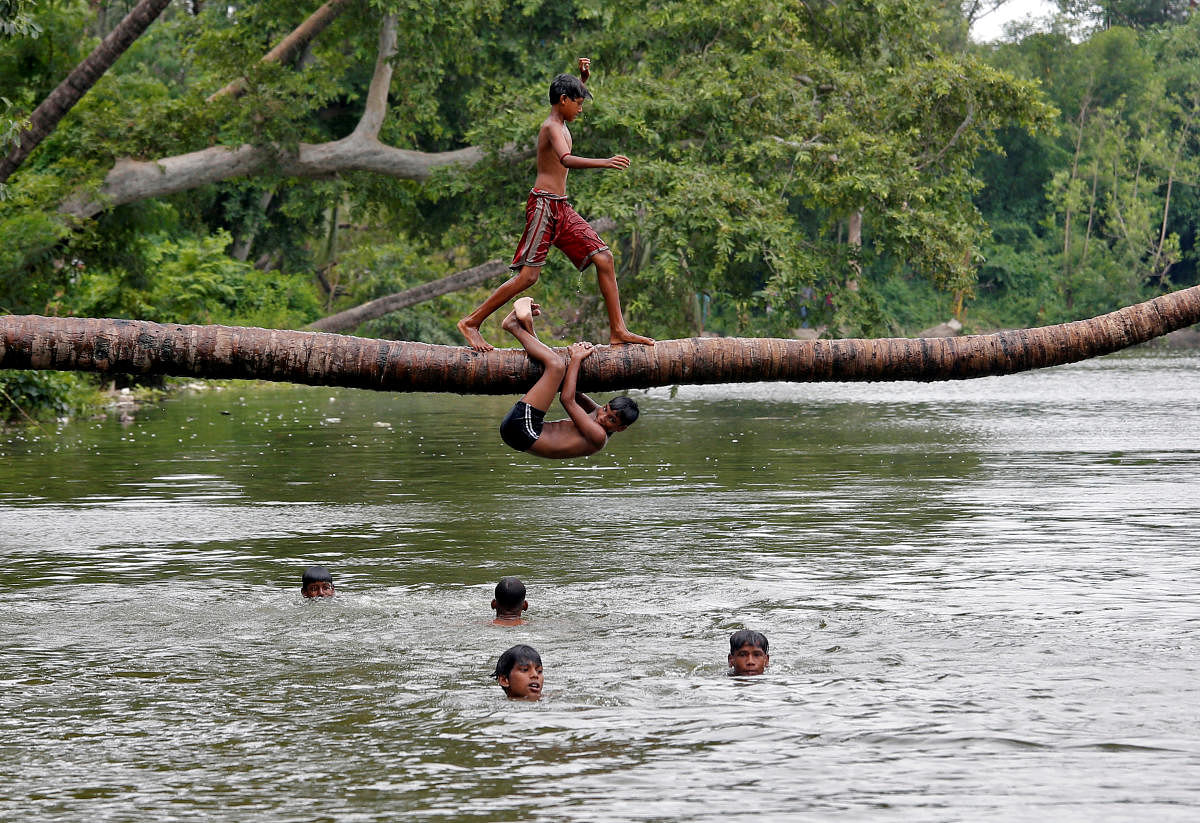 A boy prepares to jump from a fallen coconut tree into a lake on a hot summer day, amidst the outbreak of the coronavirus disease (Covid-19) in Kolkata, India, July 19, 2020. Credit: REUTERS