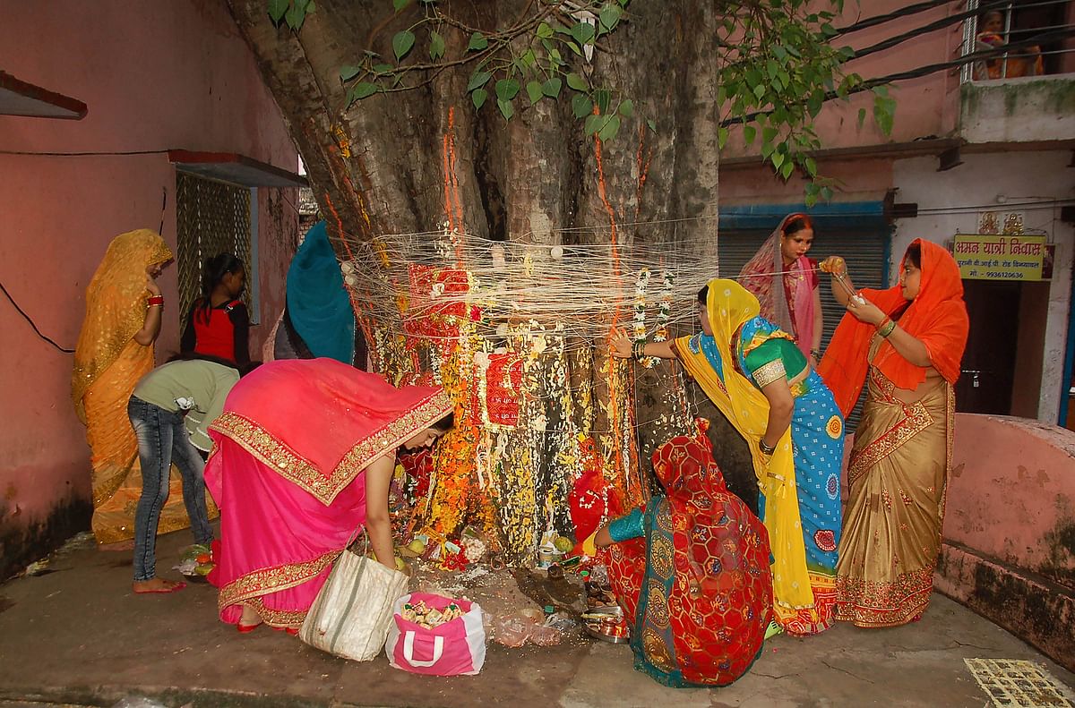 Hindu women devotees offer prayers around a 'Peepal' tree for the long life of their husbands on the occasion of Somvati Amavasya, in Mirzapur, Monday, July 20, 2020. Credit: PTI Photo