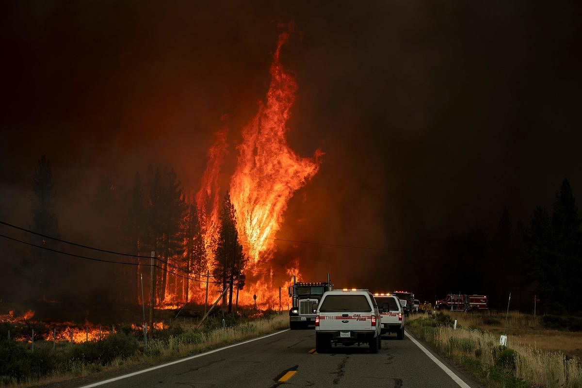 Flames rip through trees as the Hog fire jumps highway 36 about 5 miles from Susanville, California on July 20, 2020. Credit: AFP Photo