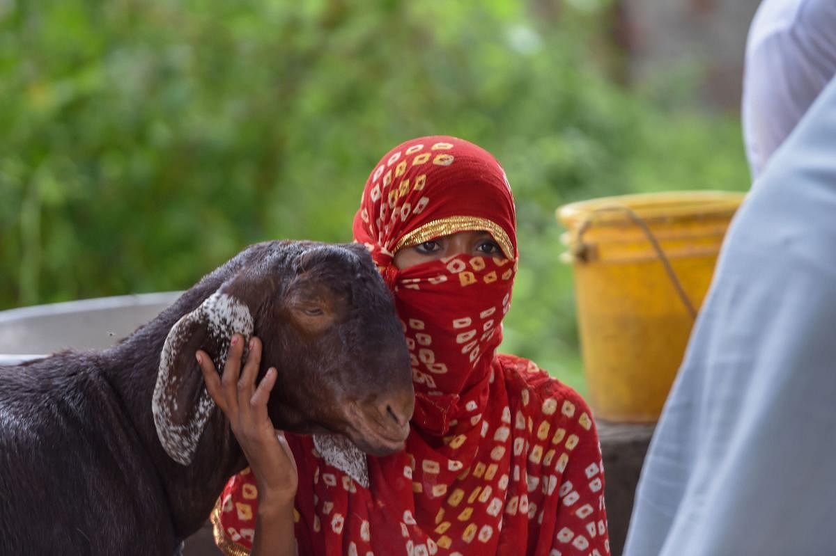 A woman waits to sell her goat at a market, ahead of the Eid al-Adha festival, in New Delhi. Credit: PTI