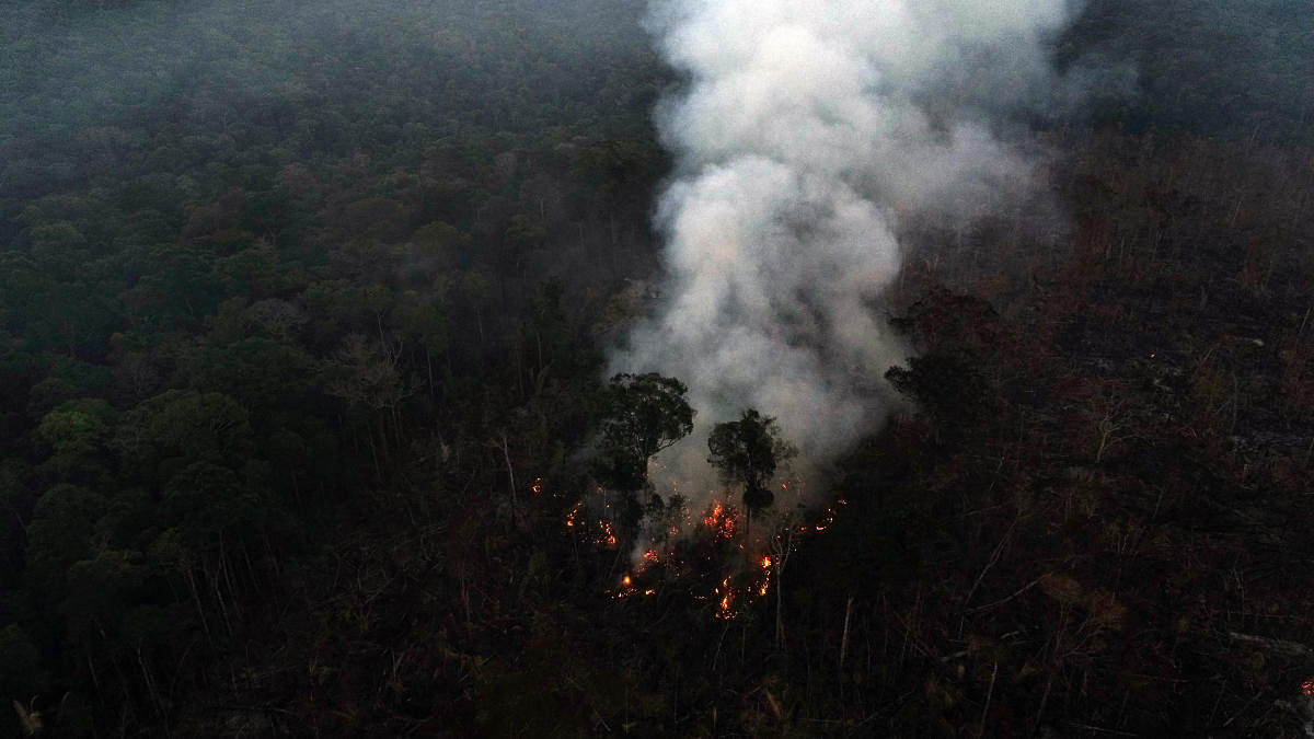 A tract of the Amazon jungle burns as it is cleared by loggers and farmers near Apui, Amazonas State, Brazil August 8, 2020. Picture taken with a drone August 8, 2020. Reuters