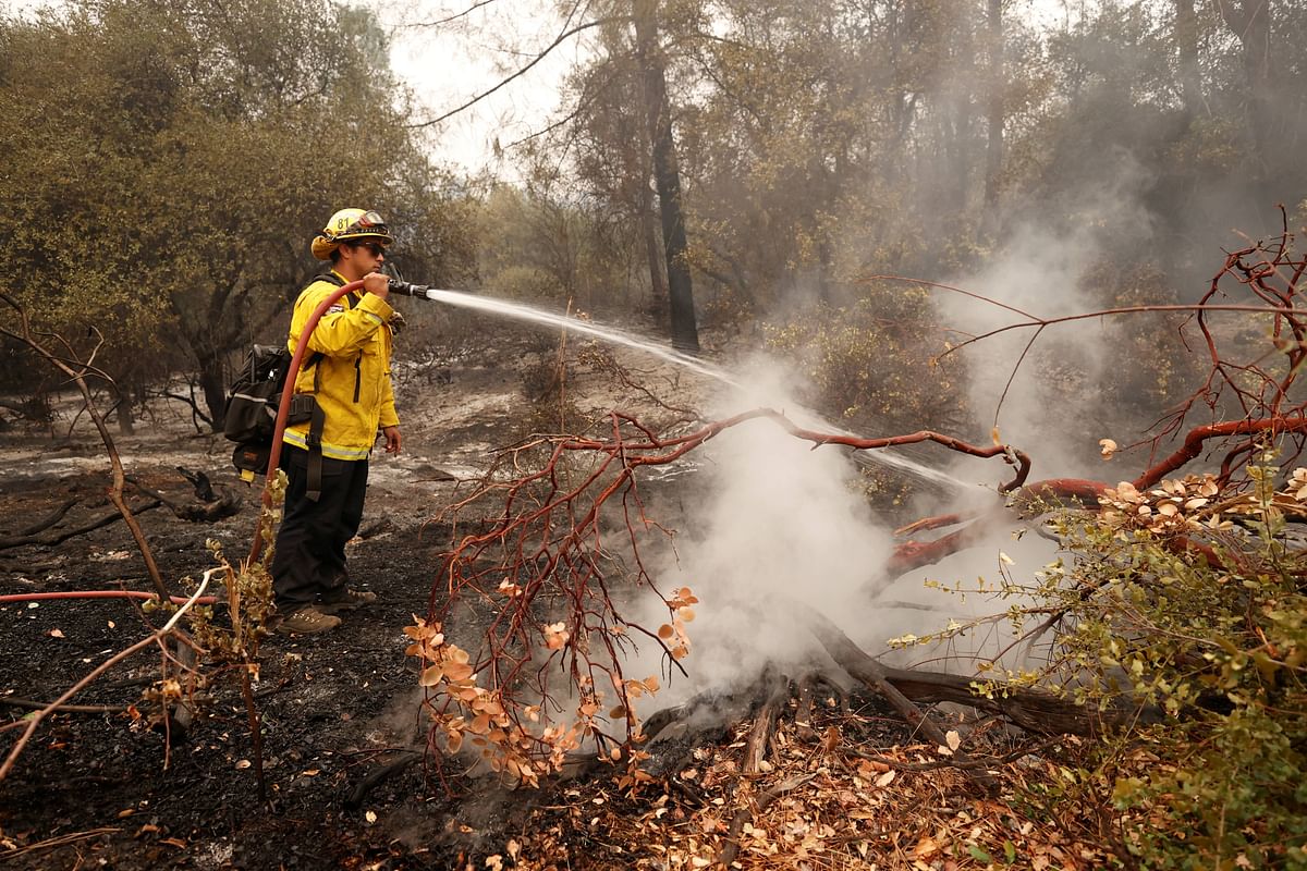 California Department of Forestry and Fire Protection firefighter knocks down hotpots near Lake Oroville as wildfires rage across California. Credit: Reuters Photo