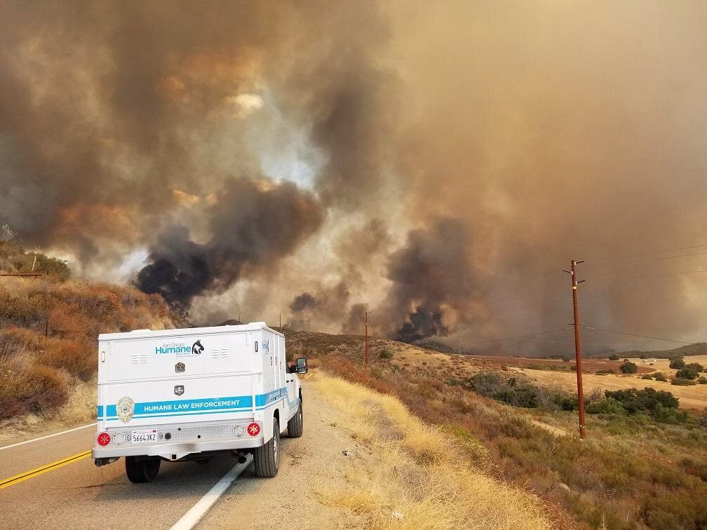 A vehicle of the San Diego Humane Society's Emergency Response Team is seen on a road amid the Valley Fire in San Diego county. Credit: AFP Photo