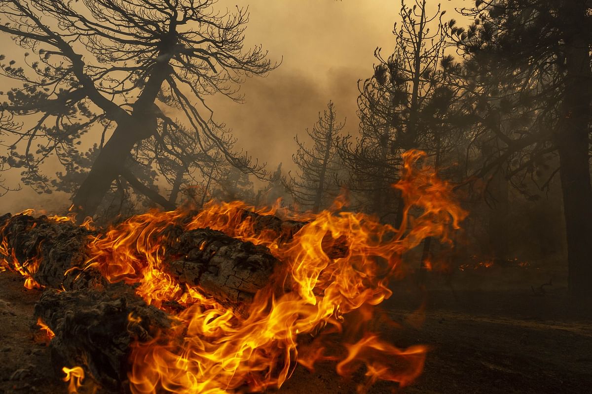 The fact that the fires this year are layered atop the pandemic is another reason it feels so different. For millions of Californians, smoke has made the air outside toxic across much of the state, national forests are closed and some of the places most treasured by residents are being damaged. Credit: AFP Photo