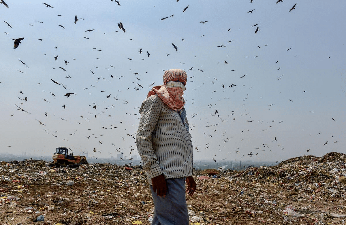 An MCD worker stands on the pile of garbage in the backdrop of a flock of Black Kite flying over Ghazipur landfill site, in New Delhi, Friday. Credit: PTI Photo