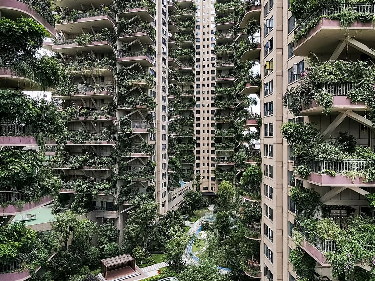 An experimental green housing project in China's southwestern Chengdu city appears to have been overrun by its own plants, with state media reporting that only a handful of buyers have moved in. Credit: AFP
