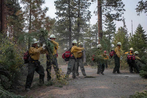 Firefighters from Mexico and Honduras cut and move branches in the Fremont National Forest while prepping the fire line ahead of the Brattain Fire in the outskirts of Paisley, Oregon, U.S. Credit: Reuters Photo