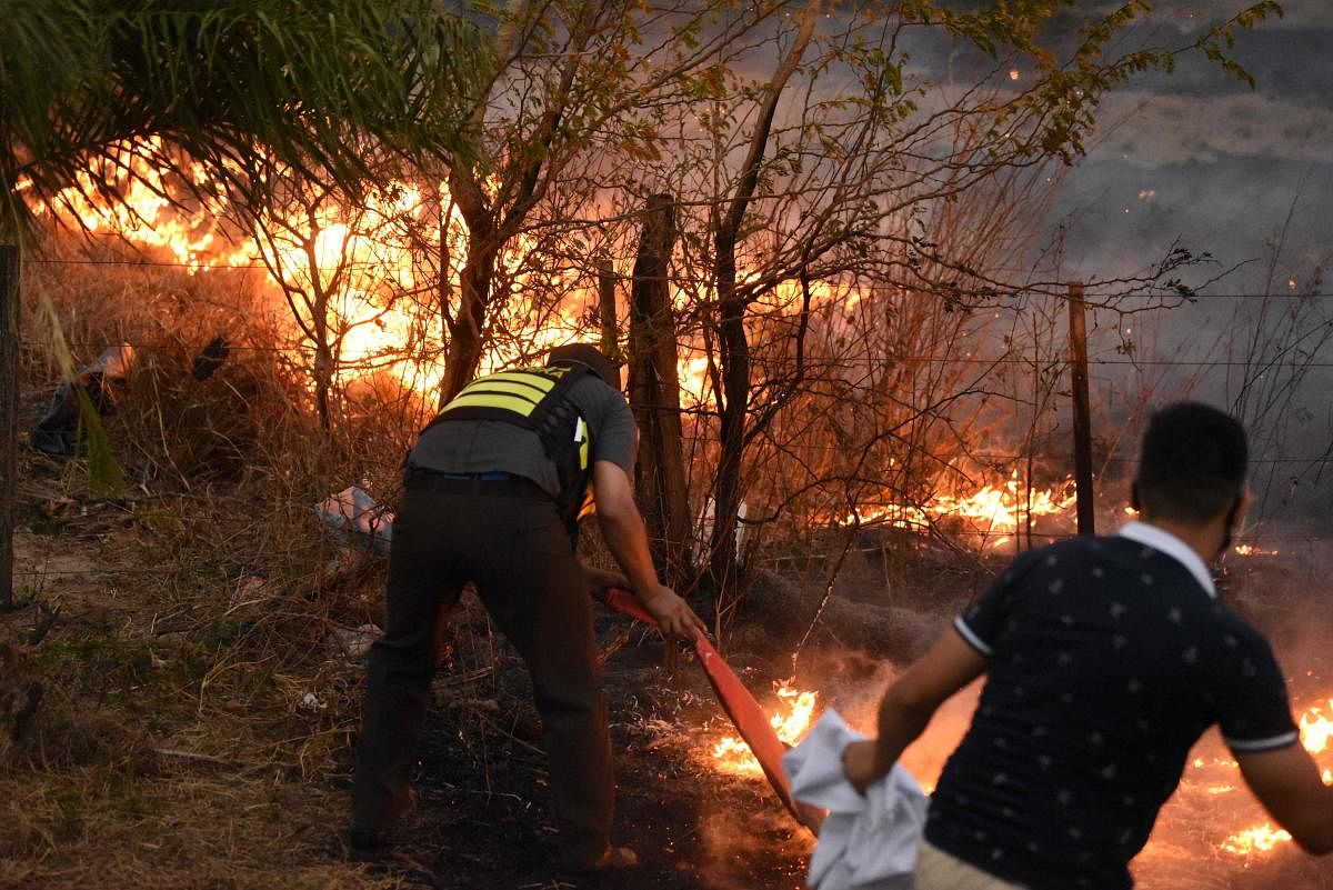 Members of Paraguay's highway patrol and locals try to extinguish a fire in San Bernardino, east of Asuncion, Paraguay, where thousands hectares have already been affected by fires, following extreme droughts. Credit: AFP Photo