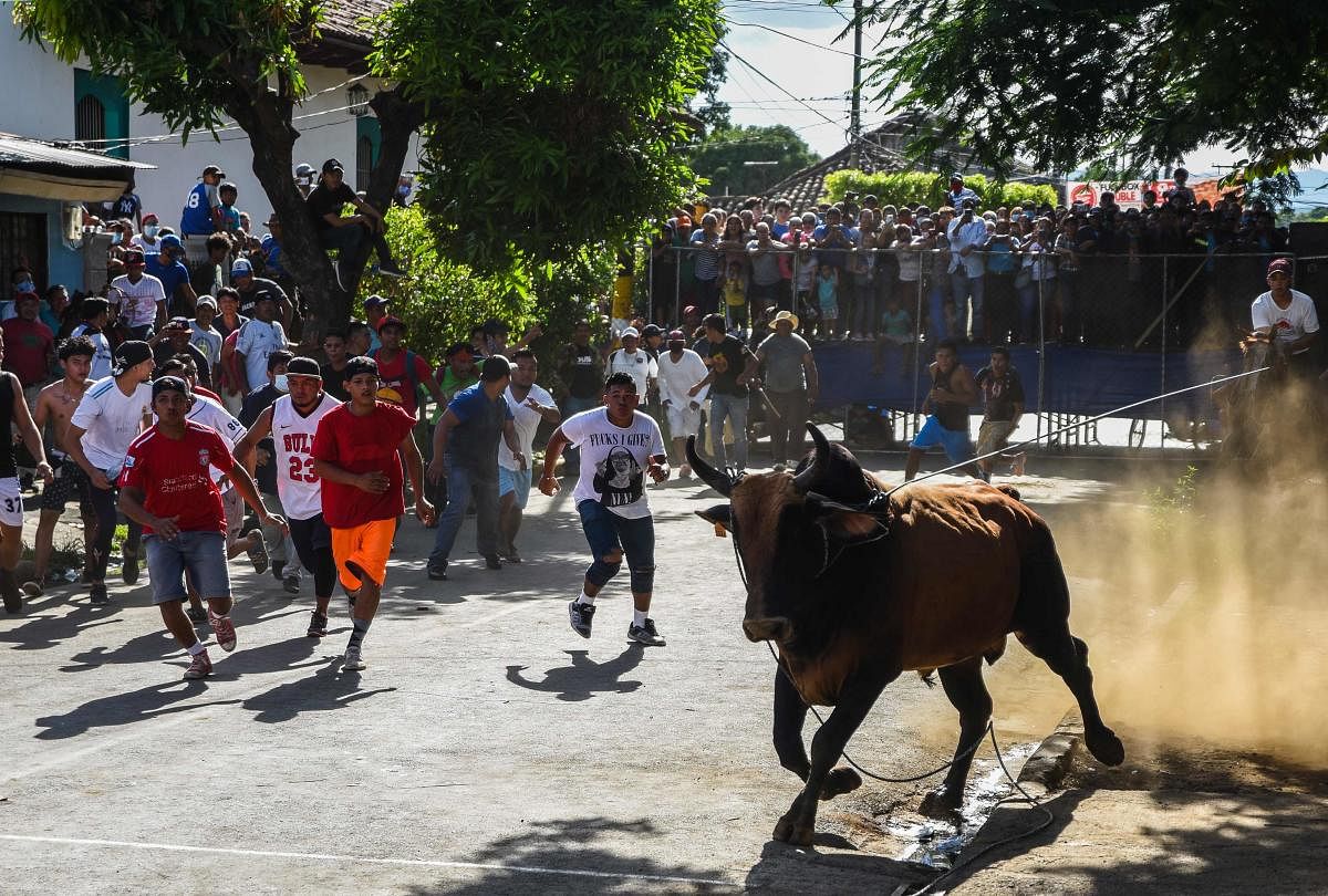 People flee from running bulls in the