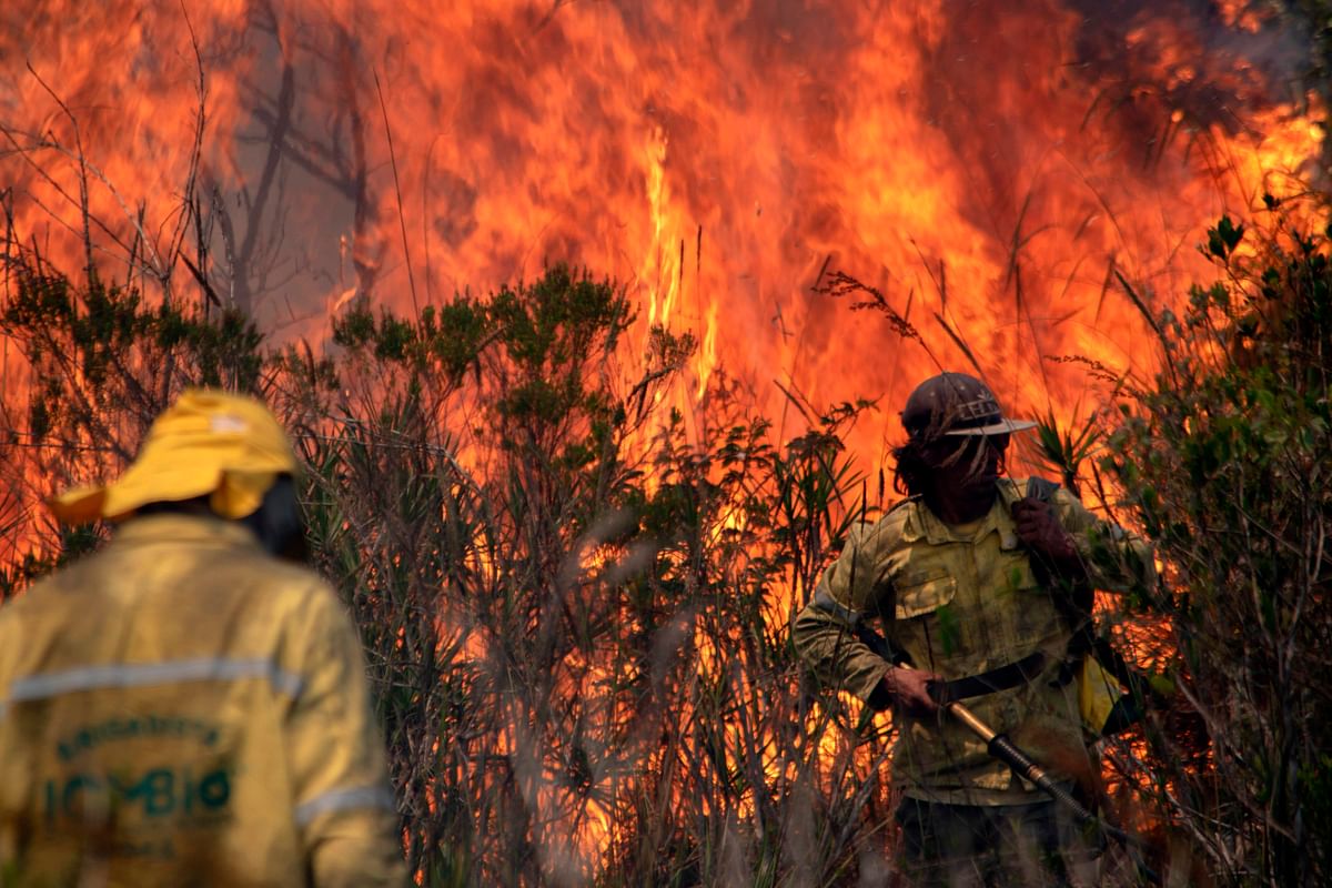 Members of the Fire Brigade of the Chico Mendes Institute for Biodiversity Conservation (ICMbio) combat a fire at the Chapada Diamantina region, between the cities of Andarai and Mucuge, in Bahia state, northeastern Brazil. Credit: AFP Photo
