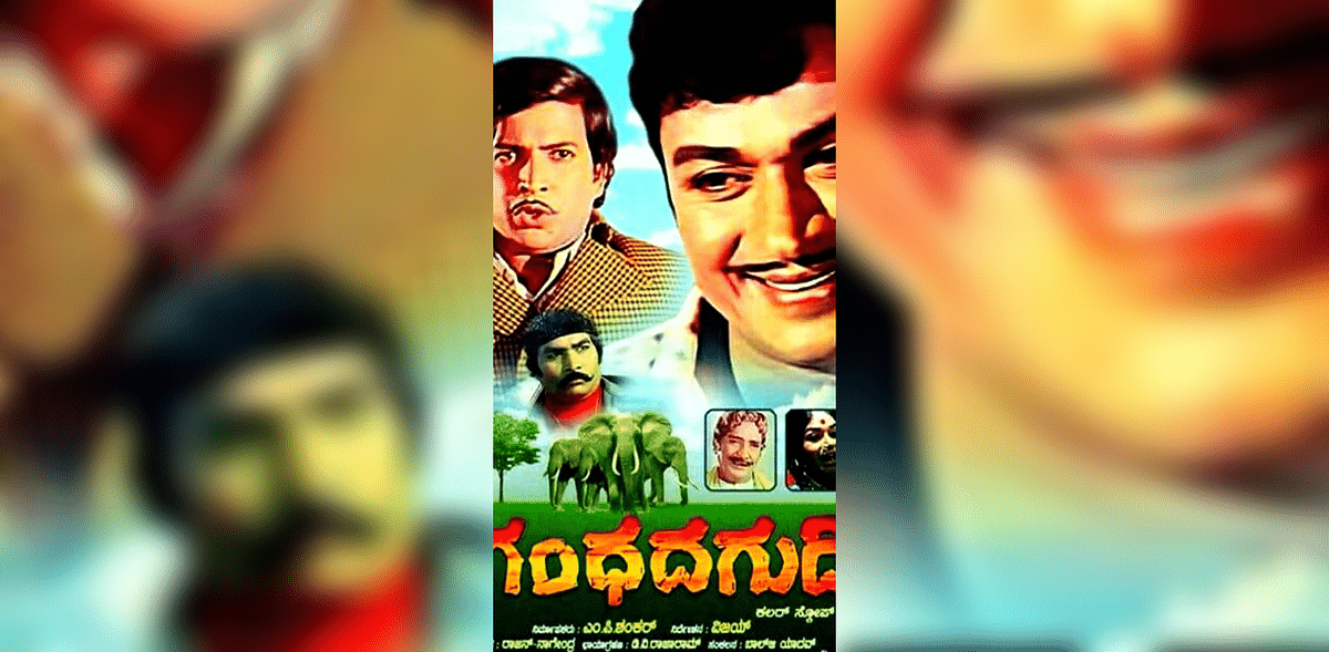 Naavaaduva Nudiye Kannada Nudi | Rajan-Nagendra reigned in the 1970s, contributing significantly to the box-office success of many films. Gandhada Gudi (1973) brought Rajkumar and Vishnuvardhan together on screen for the first and last time. One song from this film, Naavaaduva Nudiye Kannada Nudi, has outlasted the others, becoming an anthem. No Rajyotsava is complete, to this day, without this P B Sreenivas solo being played on the radio and sung at street-corner celebrations.| Credit: IMDb