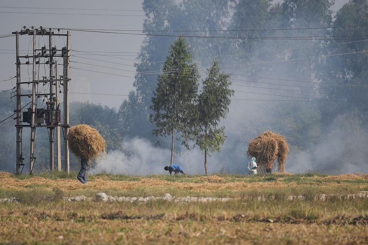 Farmers walk as straw stubble burns in a field on the outskirts of Fatehgarh Sahib, in the northern state of Punjab. Credit: AFP Photo