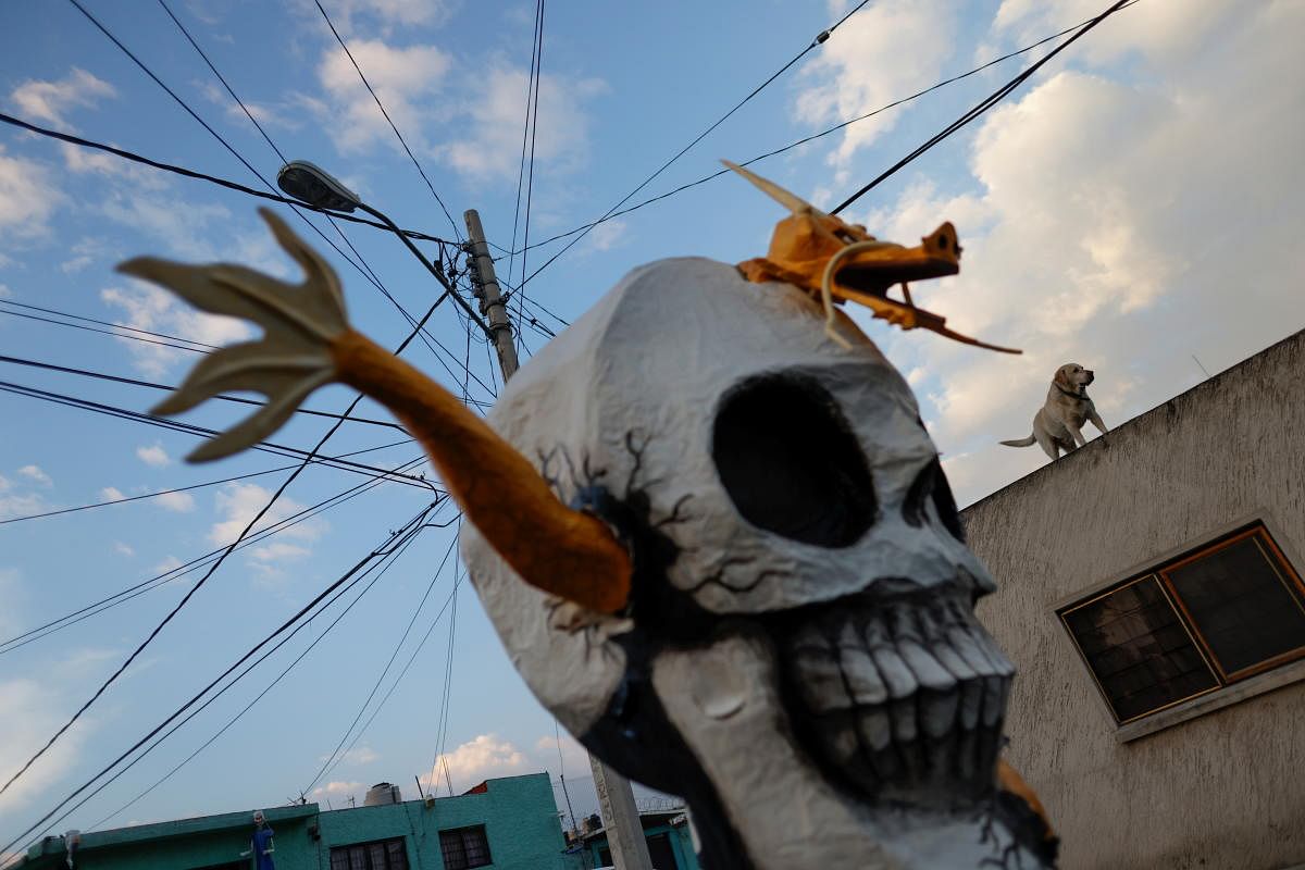 A dog stands on the roof of a house as a skeleton sculpture is seen on a street in a neighbourhood ahead of the traditional celebration of Day of the Dead amid the coronavirus disease outbreak in Mexico City. Credit: Reuters Photo