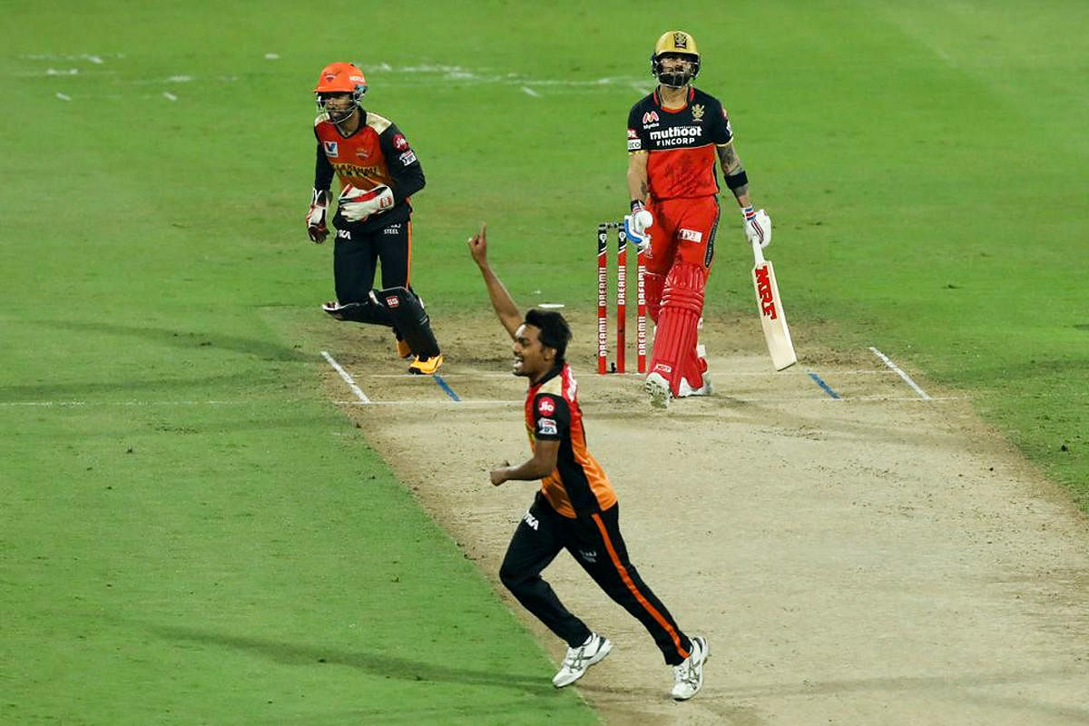 Sunrisers Hyderabad player Sandeep Sharma celebrates the wicket of Royal Challengers Bangalore captain Virat Kohli. Credit: PTI Photo