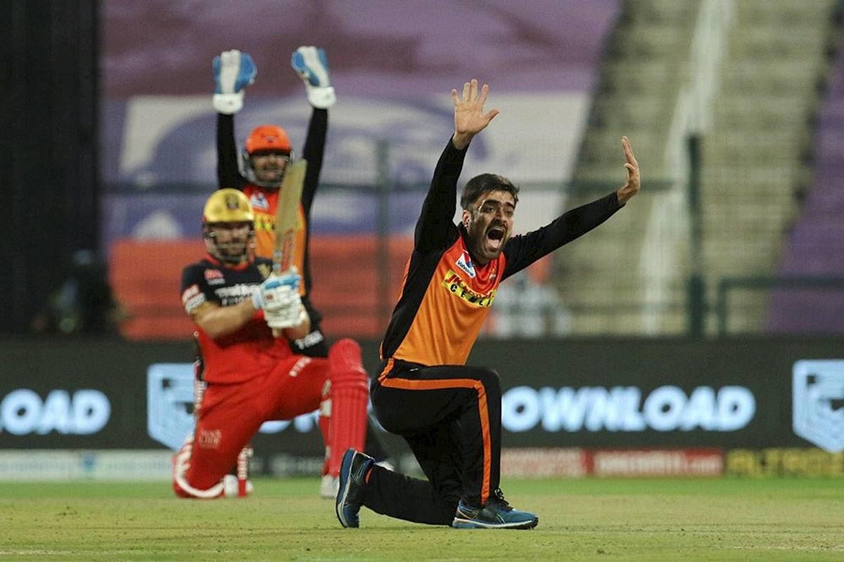 Rashid Khan of Sunrisers Hyderabad appeals unsuccessfully for a wicket during the eliminator match of the Indian Premier League (IPL) against Royal Challengers Bangalore at the Sheikh Zayed Stadium, in Abu Dhabi. Credit: PTI Photo