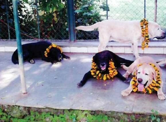Among the many brave soldiers there were four unsung heroes who saved a lot of lives during that attack. The four furry friends and heroes Max, Tiger, Sultan, and Ceaser, were sniffer dogs from Mumbai Police’s Bomb Detection and Disposal Squad who saved countless lives by detecting bombs with their sharp sense of smell. Pic credit: Twitter