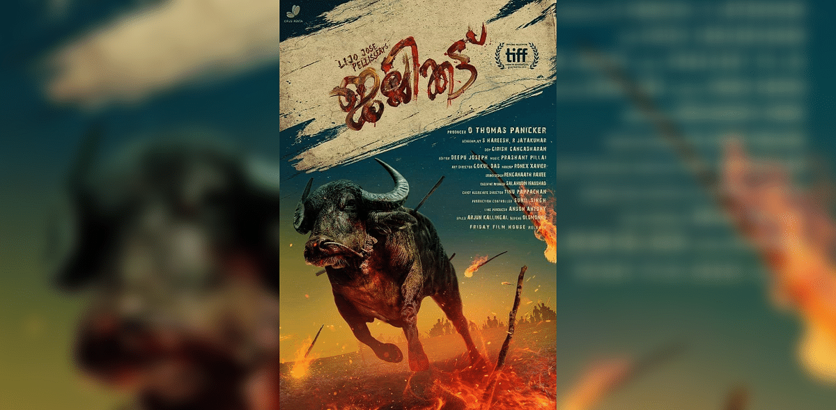 'Jallikattu' heads to Oscars | Director Lijo Jose Pellissery’s critically-acclaimed film ‘Jallikattu’ was selected as India’s entry to the Oscars, becoming the third Malayalam movie after ‘Guru’ and the Salim Kumar-starrer ‘Adaminte Makan Abu’ to bag the honour. The film, featuring newcomers in the lead, revolves around what happens when a bull escapes from a slaughterhouse and explores the ‘animalistic’ side of human nature. Credit: IMDb