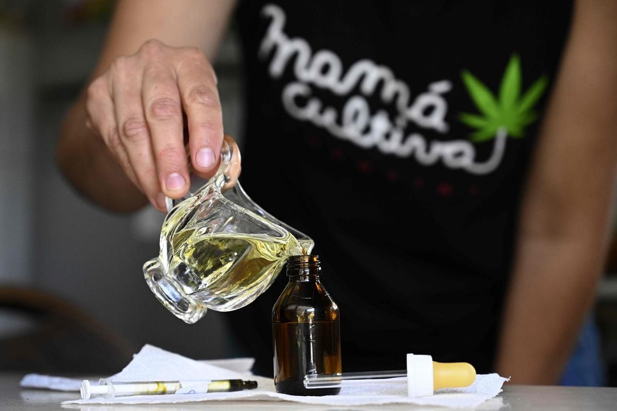 Valeria Rivera, member of the self-managing NGO “Mama cultiva” (Mom grows), prepares medicinal cannabic oil with self-cultivated cannabis for an epileptic boy, at her home in Buenos Aires. Credit: AFP Photo