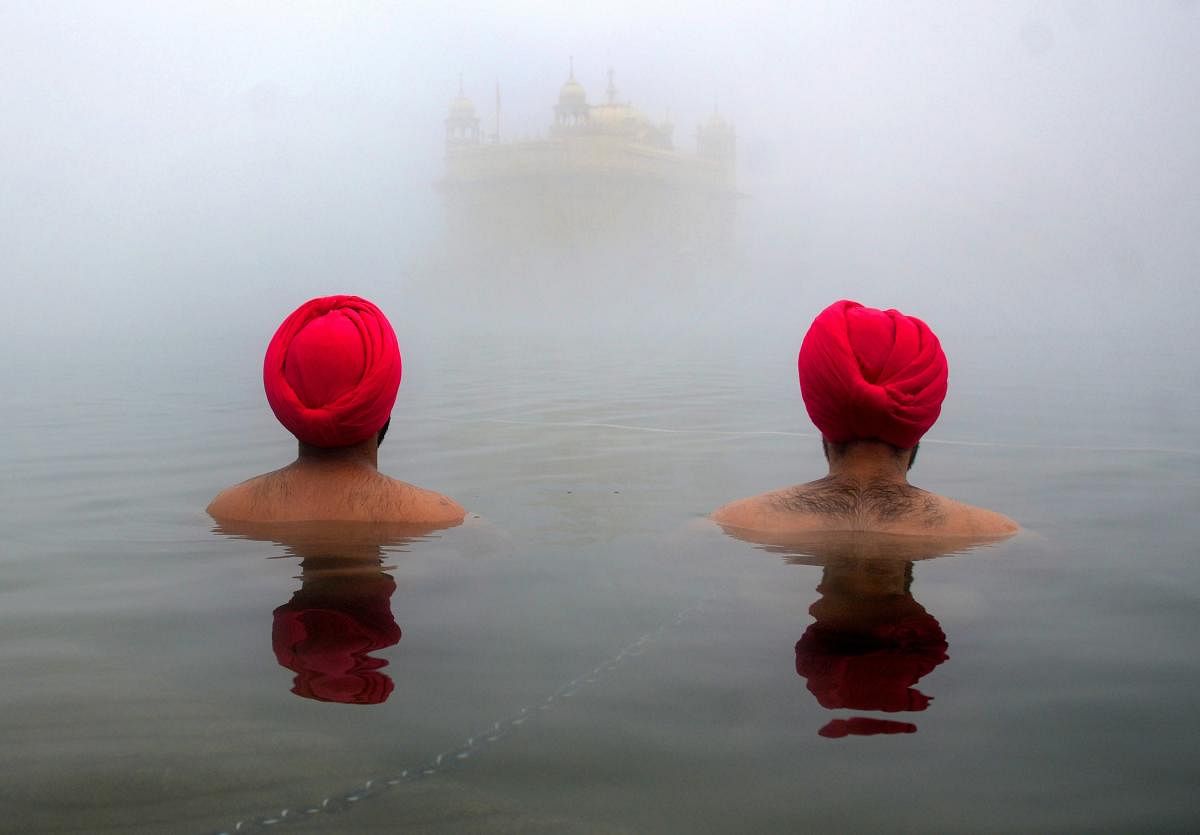 Devotees take a holy dip in the 'sarovar' of Golden Temple on a foggy morning as cold wave grips northern India, in Amritsar. Credit: PTI
