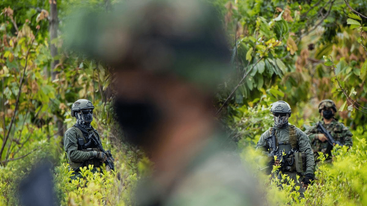 Colombian police officers stand guard inside of coca field during an operation to eradicate illicit crops in Tumaco, Narino Department, Colombia. Credit: AFP