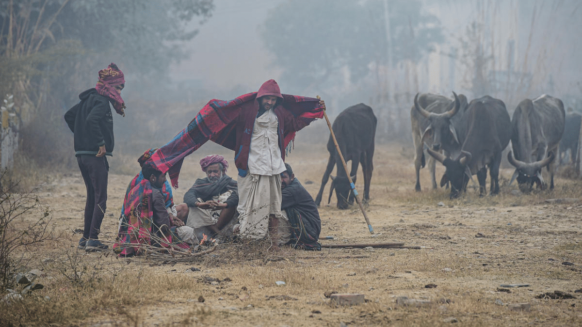 A group of nomadic shepherds from Rajasthan state sit near a bonfire to warm themselves on a cold winter morning, on the outskirts of New Delhi. Credit: PTI