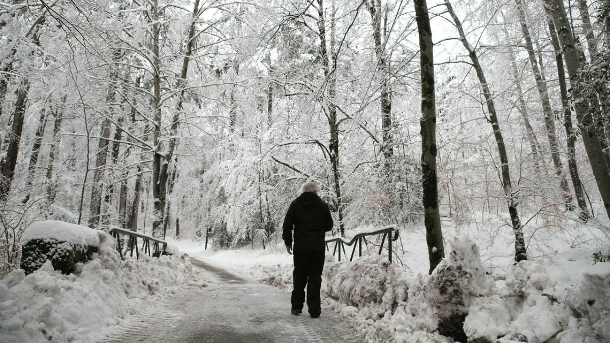 A man walks through Vizzavona forest covered with snow on the French Mediterranean island of Corsica, following heavy snow falls over southern Europe. Credit: AFP Photo