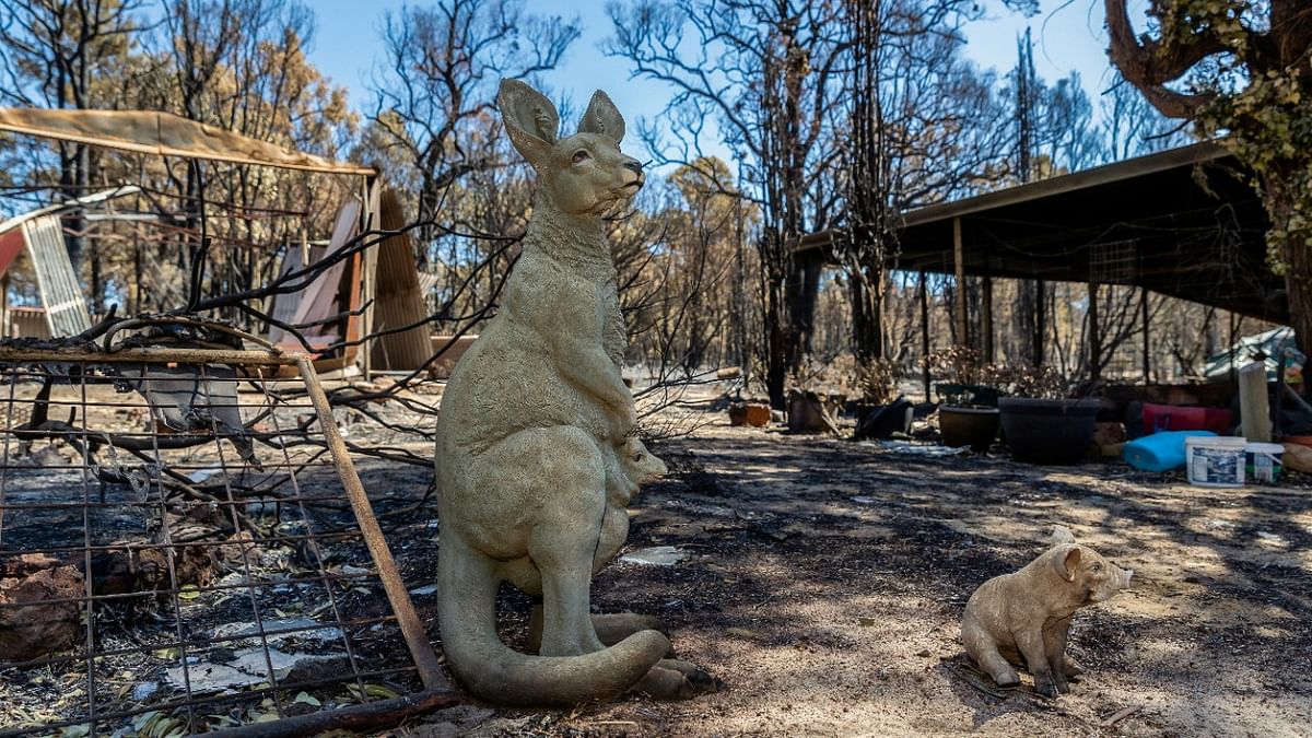 A statue of a kangaroo is seen outside a house destroyed by a bushfire on Dinsdale Road, Gidgegannup in Perth, Australia. Credit: Reuters Photo