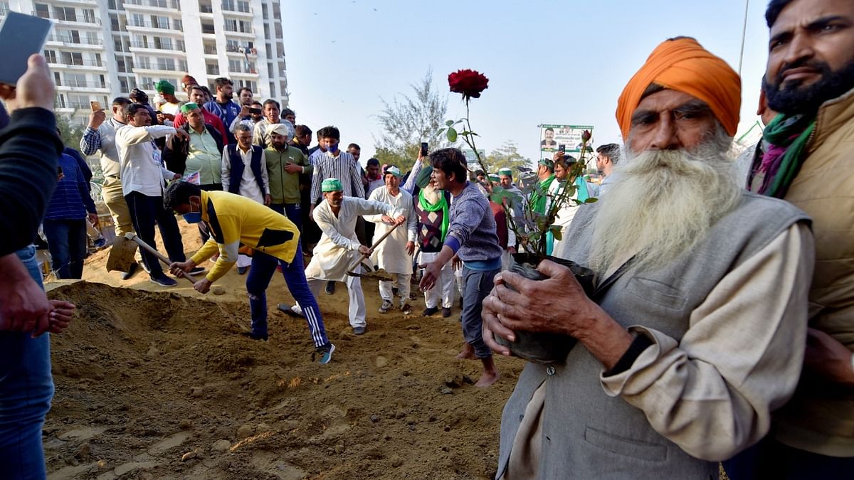 A farmer holds saplings to be planted at the protest site, during their ongoing agitation against farm laws, at Ghazipur border New Delhi. Credit: PTI Photo.