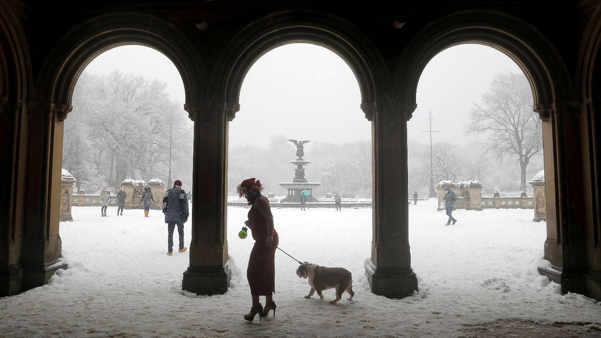 Heavy snow falls New York City A woman walks a dog through the Bethesda Terrace in Central Park as heavy snow falls in Manhattan, New York City, US. Credit: Reuters Photo.