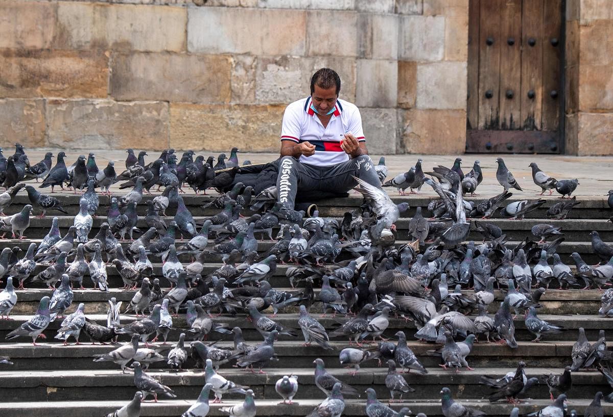 A man wearing a face mask feeds pigeons at the Bolivar Square in Bogota. Credit: AFP photo.
