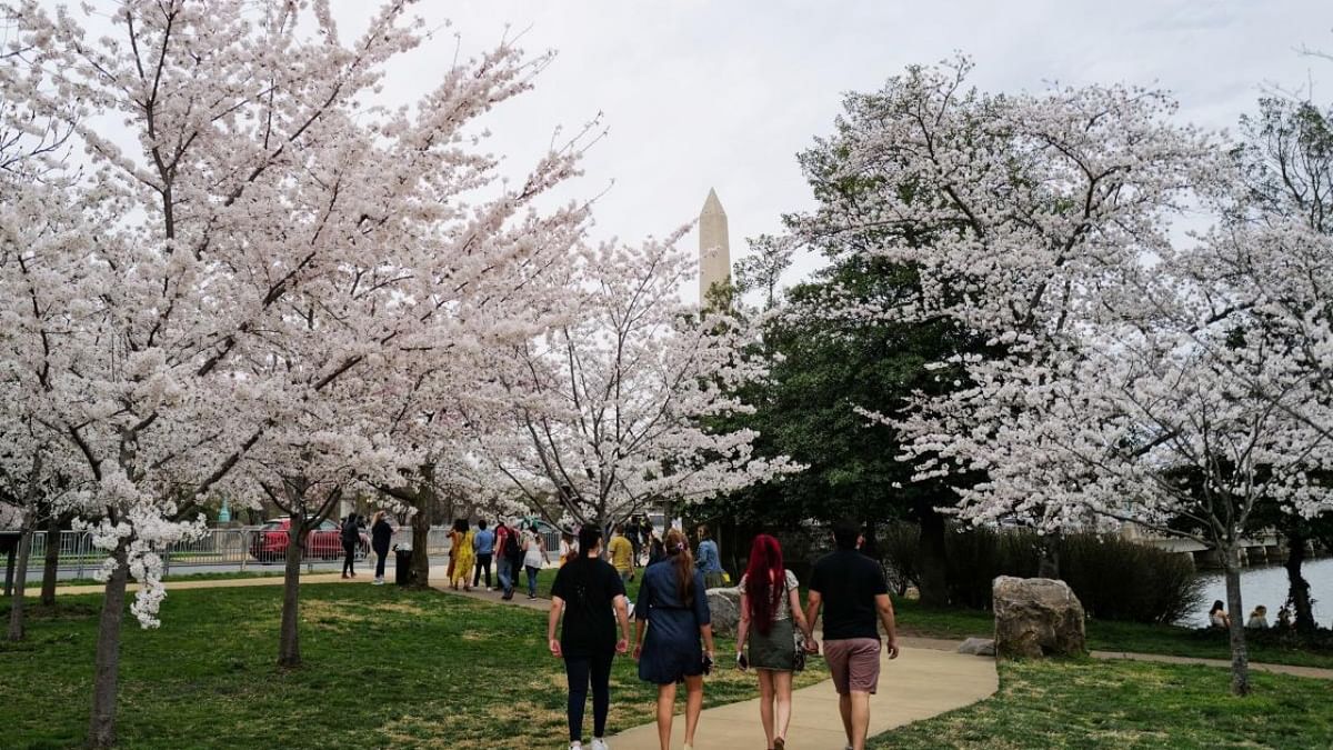 People enjoy the warm weather and blooming cherry blossoms by the Tidal Basin near the Washington Monument, in Washington. Credit: Reuters.