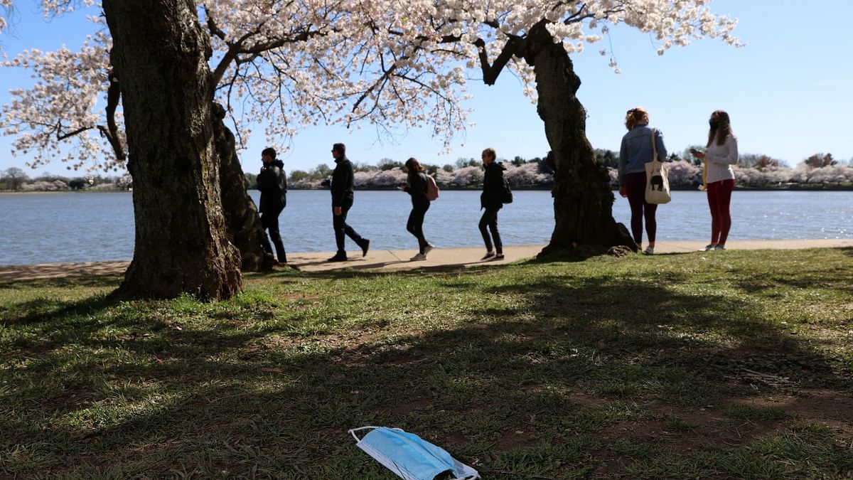 A discarded protective face mask lays on the grass as visitors observe the annual cherry blossoms at the Tidal Basin near the National Mall in Washington, US. Credit: Reuters Photo