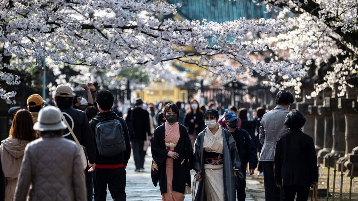 People were seen wearing protective face masks and strolling under the cherry blossoms. Credit: AFP Photo