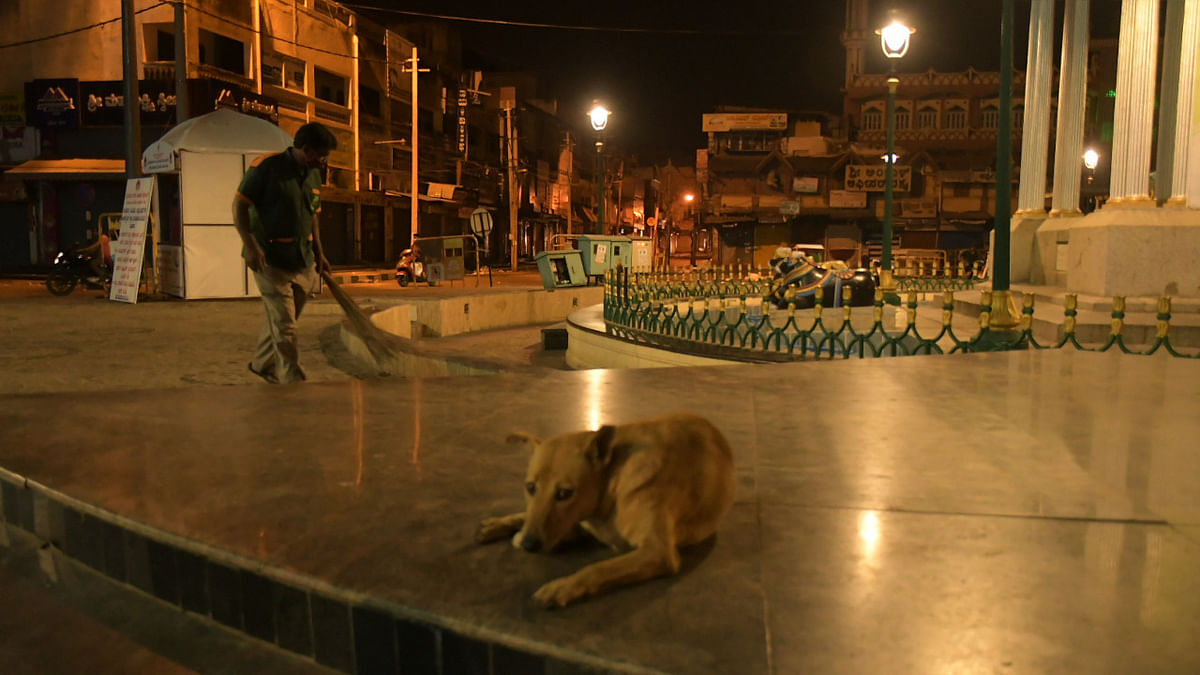A dog rests in Mysuru whilst a sanitation worker cleans a public place on the first night of the Corona Curfew in Karnataka. Credit: DH Photo/Girisha K S
