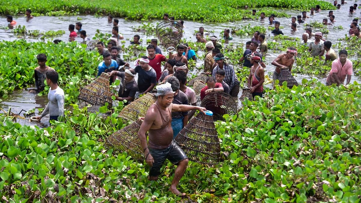 Villagers participate in community fishing on the occasion of 'Rongali Bihu' festival, amid the ongoing coronavirus pandemic, at Digholi Lake in Nagaon district, Tuesday, April 13, 2021.