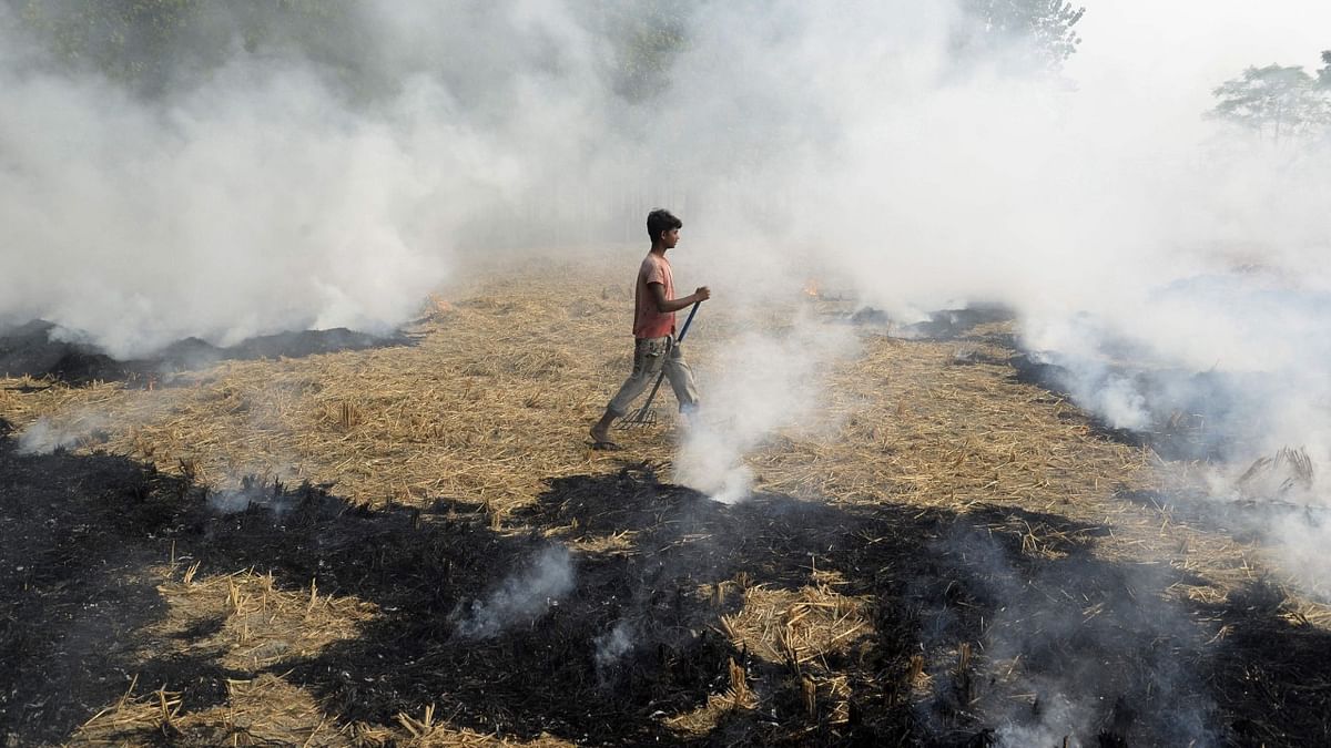 A farm labourer burns paddy stubble in a field on the outskirts of Jalandhar in Punjab state.