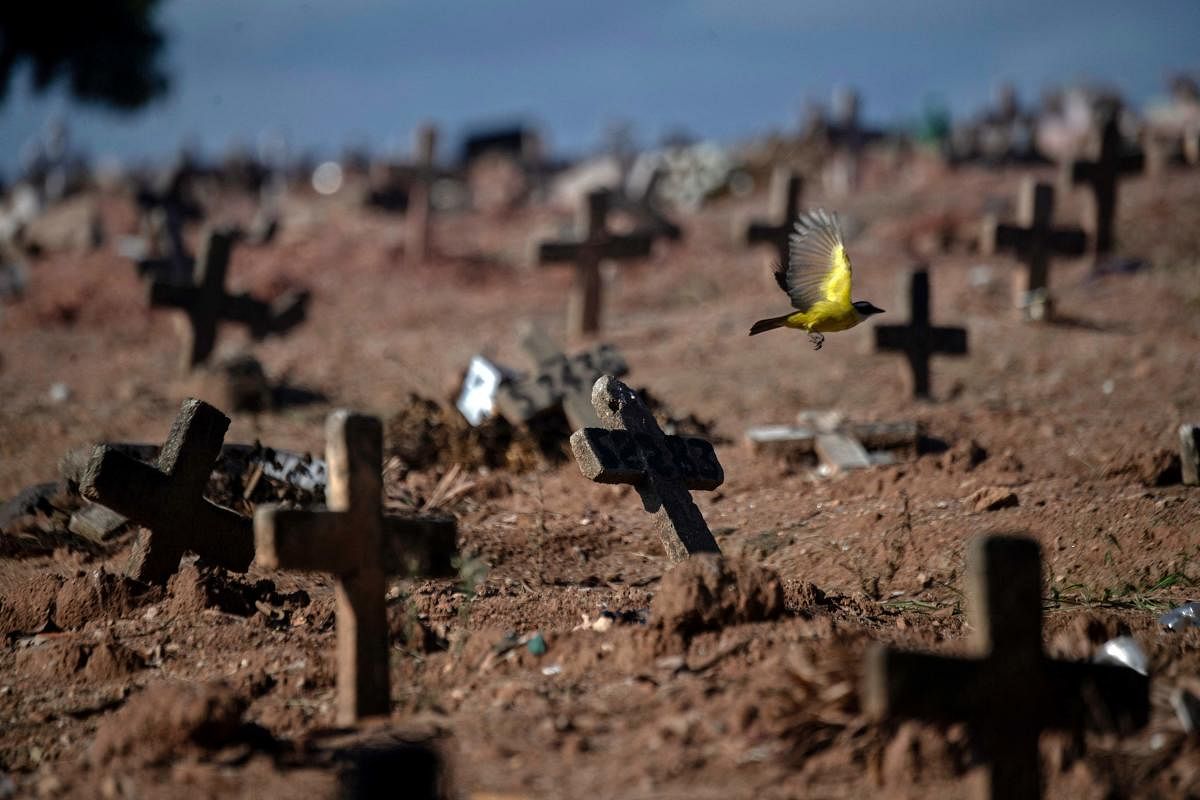 A bird flies among crosses at the Sao Franciso Xavier Cemetery in Rio de Janeiro, Brazil. Credit: AFP Photo