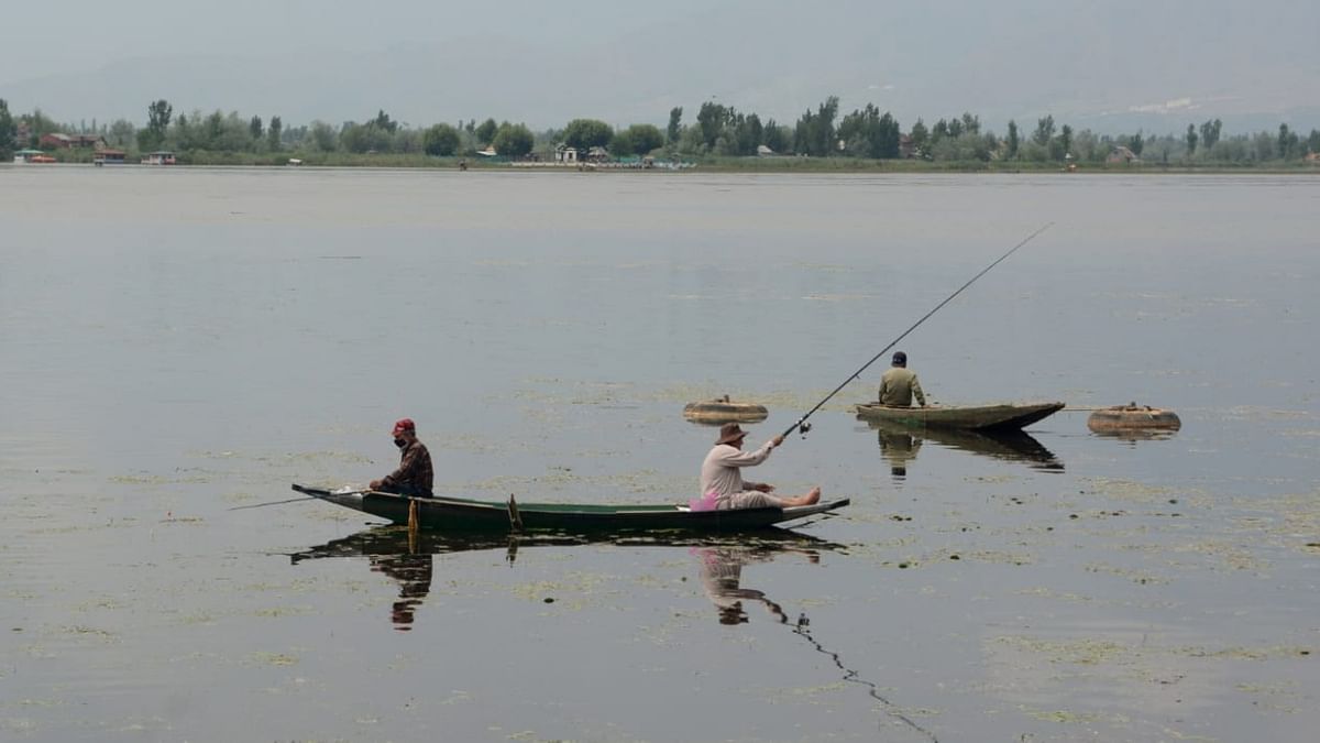 Locals are seen fishing in Dal Lake, Srinagar.