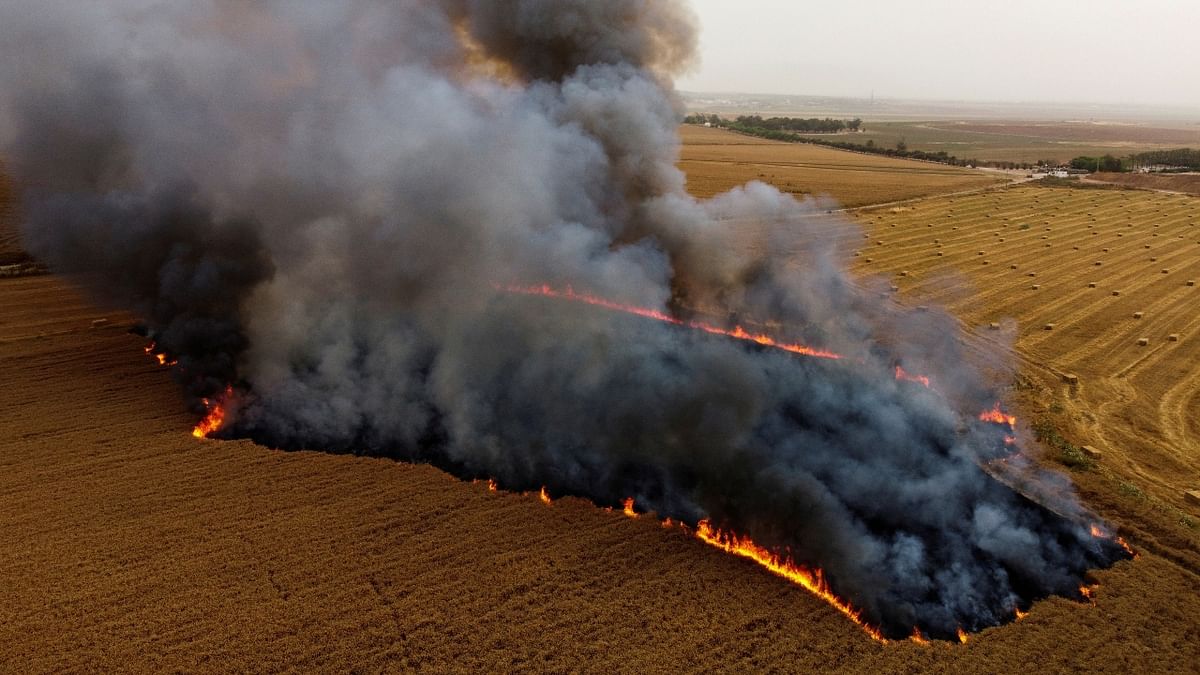 A part of a wheat field goes in flames after Palestinians in Gaza sent incendiary balloons over the border near Nir Am, southern Israel.